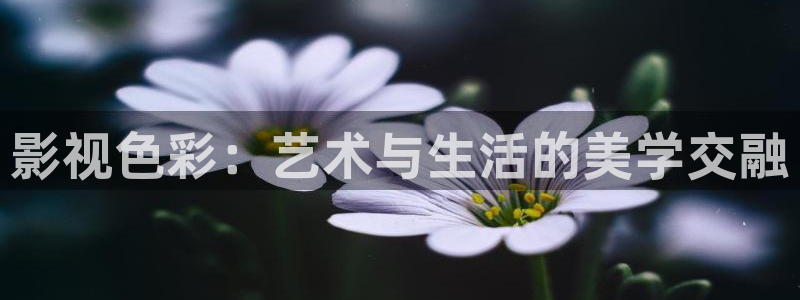 成人伦理影院在线观看